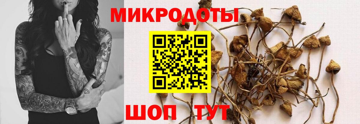 Псилоцибиновые грибы Psilocybine cubensis  Галлюциногенные грибы мицелий  Вход с VPN  Родники 